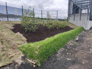 Photo 11.8.2022, 16 20 58