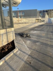 Photo 9.11.2023, 15 08 28